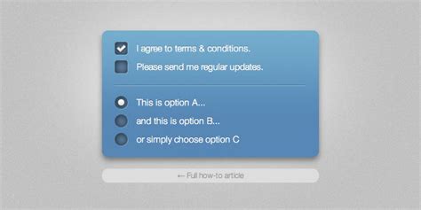 Fancy Custom Checkboxes And Radio Buttons With Css And Javascript