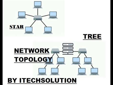 Star Topology And Tree Topology Youtube