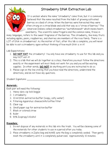 Strawberry DNA Extraction Lab Materials PDF Berry Strawberry