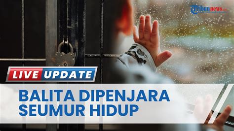 Anak Usia 2 Tahun Di Korea Utara Dipenjara Seumur Hidup Gegara Orang