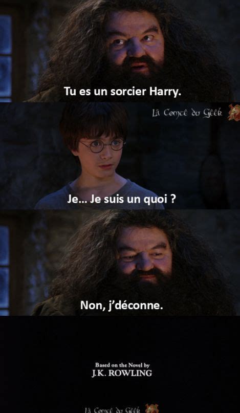 Blague Harry Potter Harry Potter Funny Harry Potter Memes