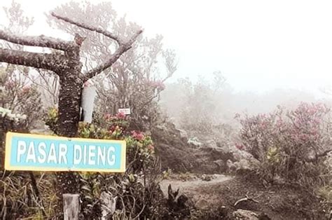 Pasar Setan Jejak Horor Mitos Gunung Yang Mencengkeram Penonton Ritmee