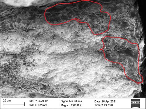 Can Someone Please Help Me In Interpreting Shiny Flat Regions