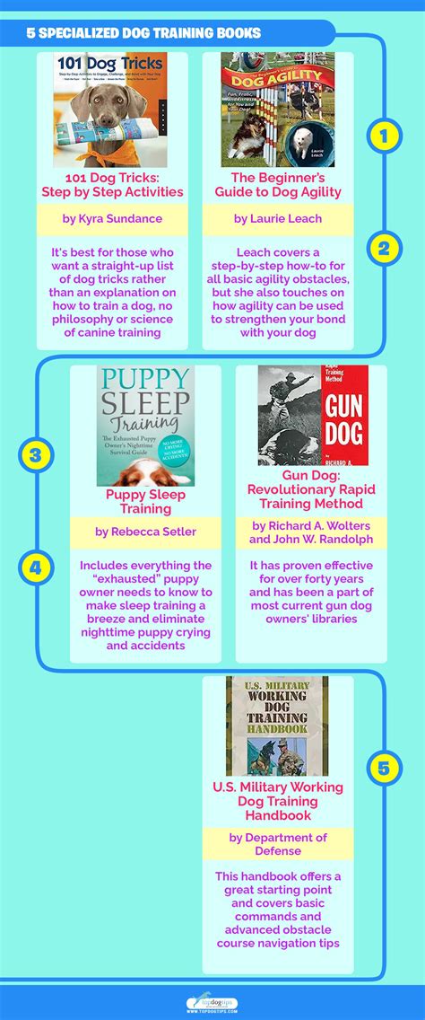 25 Best Dog Training Books in 2023 – Top Dog Tips