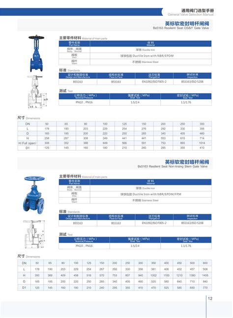 Resilient Seat Gate Valve Bs5163 Pn16 Ductile Iron From China Manufacturer Pg Valves