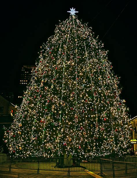 Saturday News Views Faneuil Hall Tree Preview Northendwaterfront