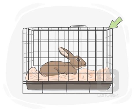 Definition And Meaning Of Cage Picture Dictionary