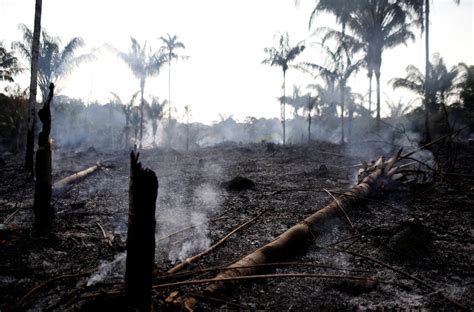 En imágenes Los incendios en la selva del Amazonas captados por la NASA