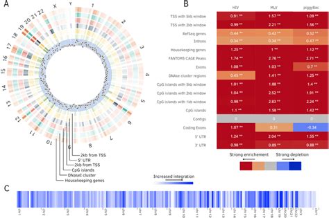 Additional Plots Generated By Enhort A Circos Plot Krzywinski Et Download Scientific