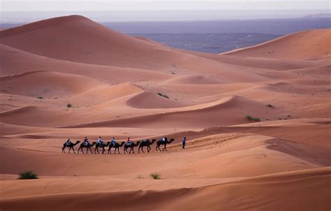 What Is The Tallest Sand Dune In The World The Top 10