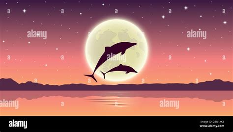 Two Dolphins Jump Out Of The Water In The Moonlight Vector Illustration