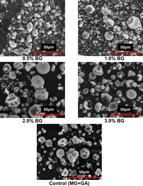 The Scanning Electron Micrographs Showing The Differences In Morphology