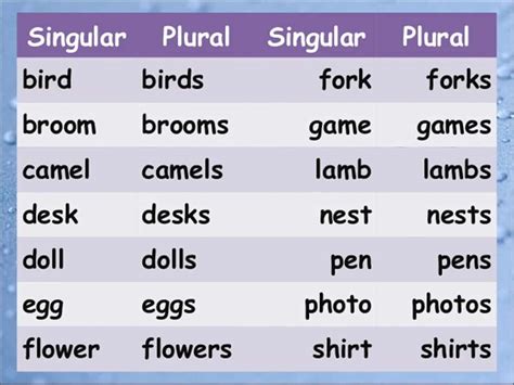 Singular And Plural Nouns Definitions Rules And Examples Eslbuzz