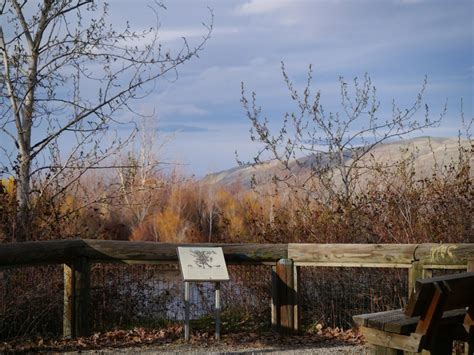 Great Washington State Parks To Visit In Winter Washington Trails