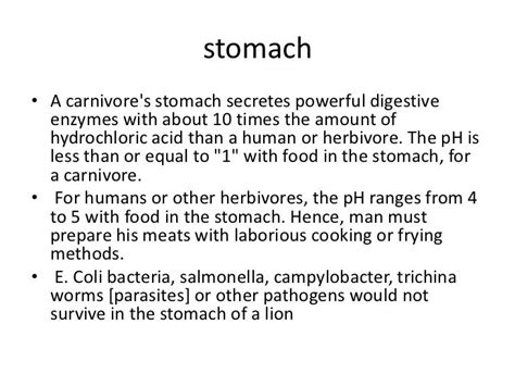 Difference Between Digestive Tract Of Herbovores Vs Carnivores