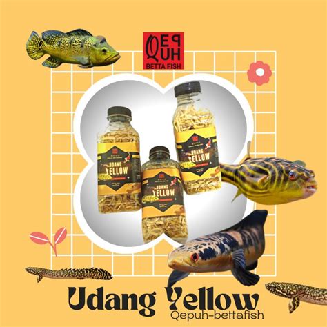 Jual UDANG JAHAT UDANG YELLOW KERING PAKAN IKAN CHANA YELLOW RED BLUE