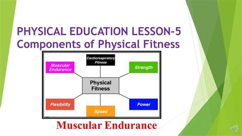 PHYSICAL EDUCATION LESSON 5 Components Of Physical Fitness Muscular