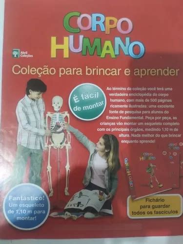 Corpo Humano Fasc Culos Ao Pe As Para Montagem Parcelamento