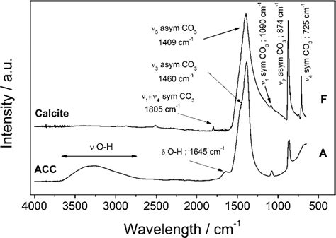 Fourier Transform Infrared Ftir Spectra Of Acc And Calcite Showing