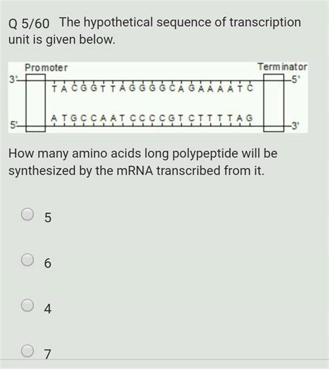 Q 5 60 The Hypothetical Sequence Of Transcription Unit Is Given Below