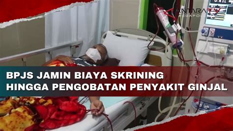 BPJS Jamin Biaya Skrining Hingga Pengobatan Penyakit Ginjal YouTube