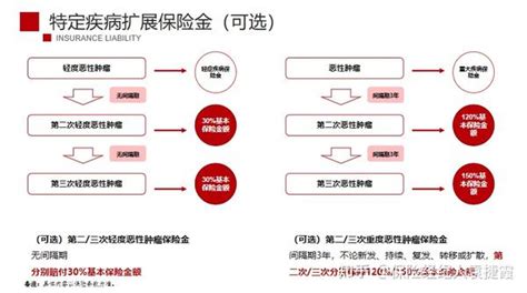 重疾险测评分组多次赔付的价格王炸，新品信泰如意金葫芦 知乎