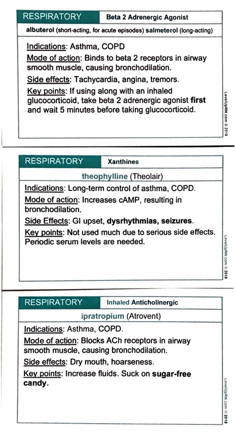 Pharmacology Respiratory System Respiratory Beta 2 Adrenergic Agonist