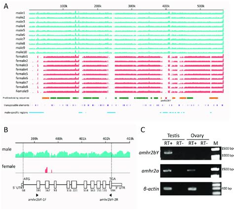 Comparison Of Mapping Coverage Of Whole Genome Resequencing Between