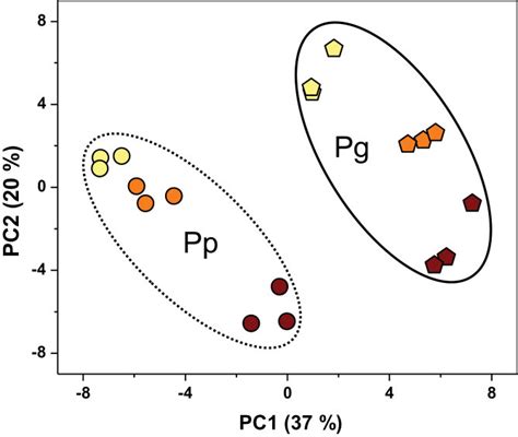 Principal Component Analysis Pca Plot Of The First Two Principal Download Scientific Diagram