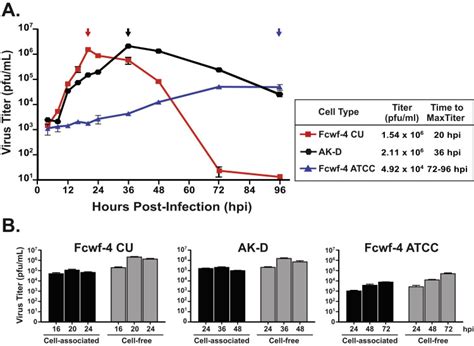 Characterizing Replication Kinetics And Plaque Production Of Type I