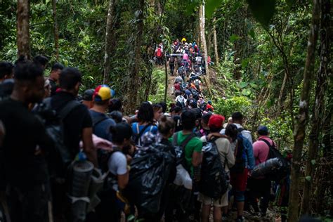 Cifras Hist Ricas De Migraci N Por El Tap N Del Dari N Migrantes Ene