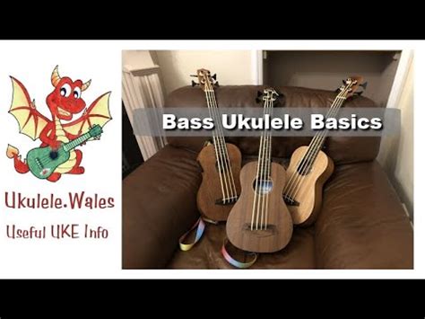 Bass Ukulele Basics All About The Bass Uke Or U Bass Youtube