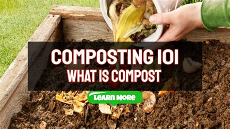 Composting 101 What Is Compost And Types Of Composting Oceans Bounty