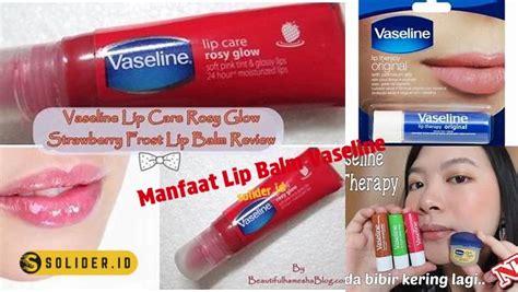 Temukan Manfaat Lip Balm Vaseline Yang Jarang Diketahui Solider