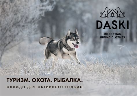 Нейминг торговой марки Daski | ZERNA.design