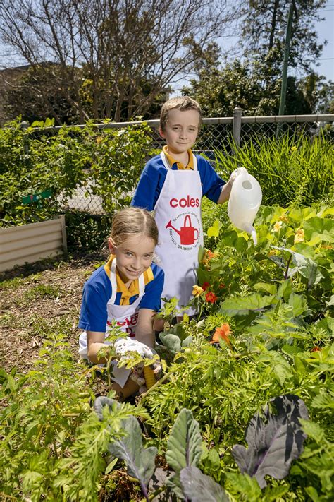 Coles West End Secures Junction Park State School's Cooking Program Membership - West End Today