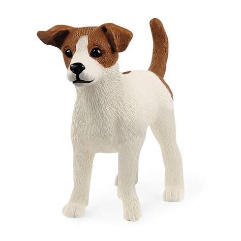 Toy Jack Russell Terrier