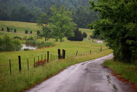 Trail and landscape in Kentucky image - Free stock photo - Public ...