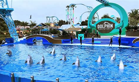 7 Amazing Things To Do In Seaworld San Diego April 2024