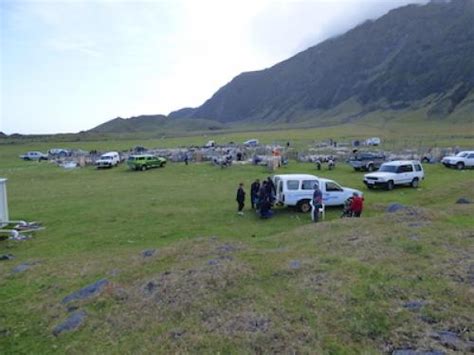 Tristan Da Cunha Farming News 2019 Sheep Shearing Day