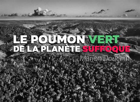 Le Poumon Vert De La Planète Suffoque Blog De Lisige Mines Paris