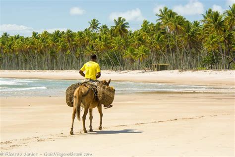 Imagem De Um Homem Andando De Jegue Nas Areias Da Praia