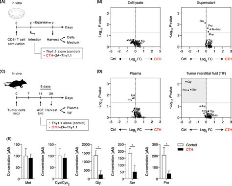 Cystathionine‐gamma‐lyase Overexpression In T Cells Enhances Antitumor