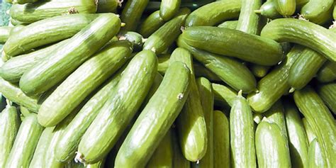 Feedback Queries On Cucumber Dates Nation