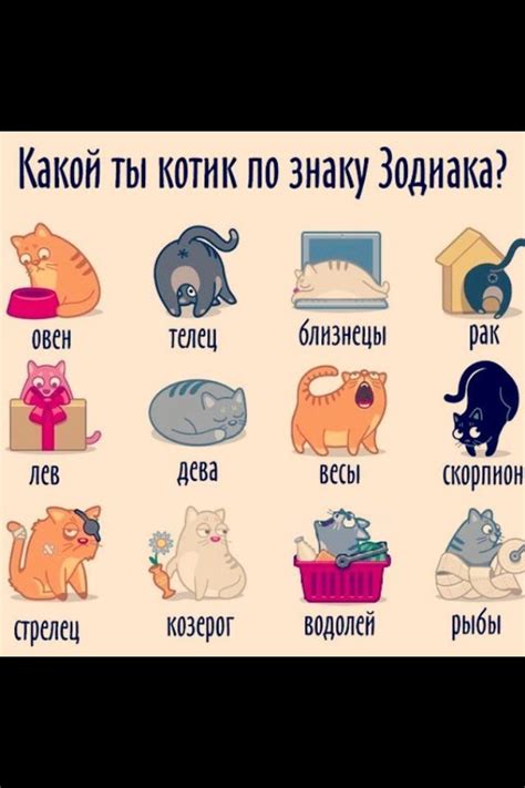 Какой ты кот по знаку зодиака