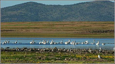 Clear Lake National Wildlife Refuge