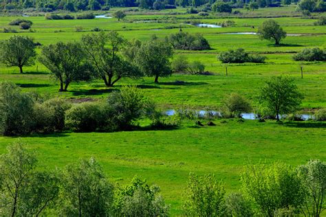 Biebrzański Park Narodowy strawiony przez pożar Ogromne straty