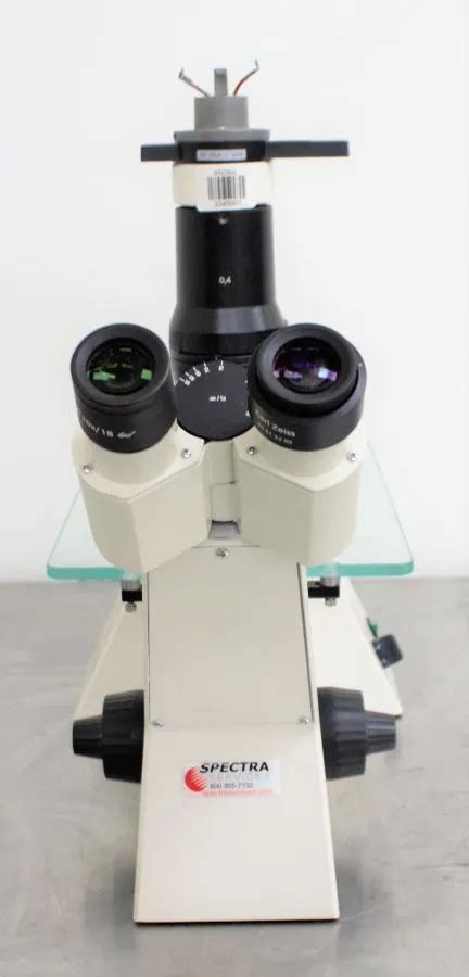 Zeiss Axiovert 25 Microscope 3345903