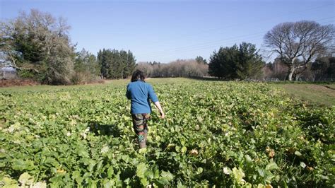 El liderazgo de las mujeres rurales existe y AFAMMER nació para darles