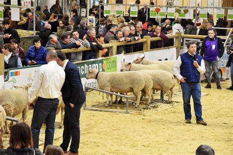 Salon de l Agriculture Un éleveur de Côte d Or grand gagnant du